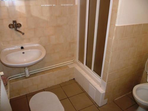 ロキトニツェ・ナト・イゼロウにあるPenzion Pod Studenovemの洗面台とトイレ付きのバスルーム