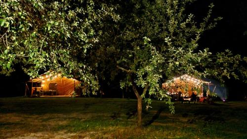 Jardín al aire libre en Forrest Glamp