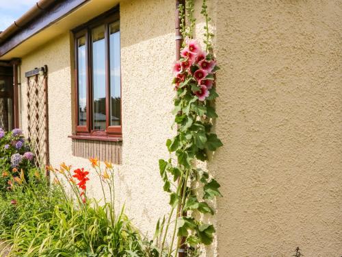 Buckland Farm Studio – Photos 3