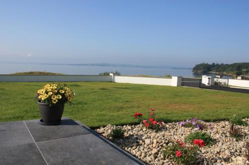 a pot of flowers in a garden with a view of the water at Sea Vista - Rathmullan in Rathmullan