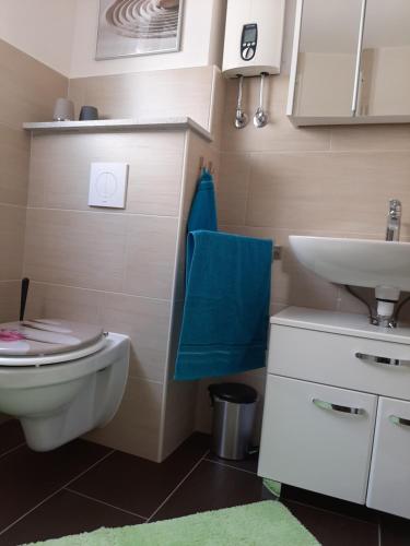 a bathroom with a toilet and a sink at Ferienwohnung Wilfried in Koblenz