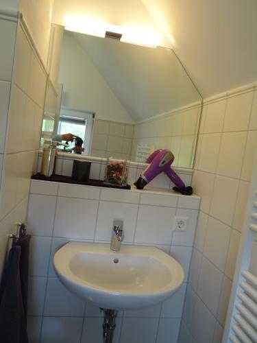 a bathroom with a sink and a mirror at Landgasthaus zum Seysingshof in Bad Colberg
