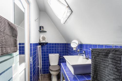 a blue tiled bathroom with a toilet and a sink at Gîtes Un Jardin dans la Falaise in Cabrerets