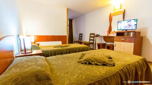 ein Hotelzimmer mit 2 Betten und einem TV in der Unterkunft Anomis in Cîmpulung