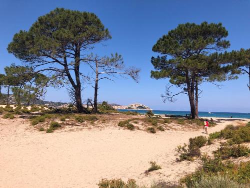 a person walking on a sandy beach with trees at Camping Dolce Vita in Calvi
