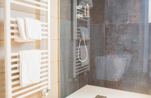 a bathroom with a shower and a toilet and a sink at Encanto Agriturismo & Private SPA in Visogliano