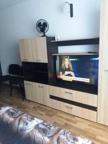 a tv in a wooden entertainment center with a television at DOBRA RAKIJA - transit sleep in Dobra