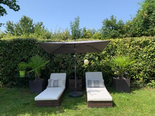Zahrada ubytování Comme à la maison - Chambre double chez habitant près de Toulouse