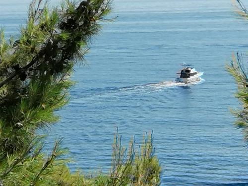 ストモルスカにあるApartments Misini Dvoriのギャラリーの写真