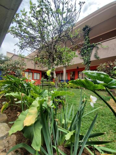 Κήπος έξω από το Hotel Casa Merced