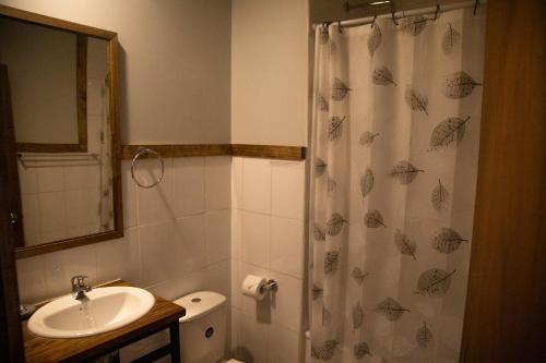 a bathroom with a sink and a toilet and a shower at Hostal Esquina Patagónica in Coihaique