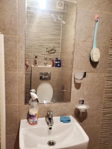 a bathroom with a sink and a mirror at Sleep and drive Suites in Sarajevo