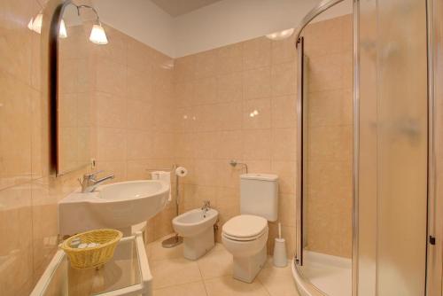 ein Bad mit einem WC, einem Waschbecken und einer Dusche in der Unterkunft TRIBUNO Grand Canal in Venedig
