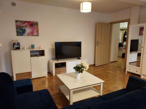 sala de estar con sofá, TV y mesa en APART- salon z aneksem kuchenym, 2 sypialnie, łazienka, en Szczecin