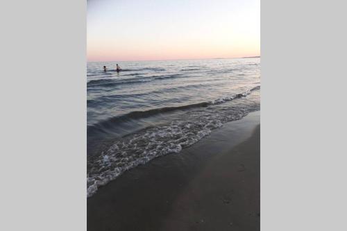 two people standing in the water at the beach at Le Cocon de Flo, studio face à la mer au couchant in La Grande-Motte