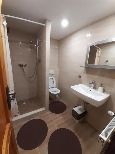 Ванна кімната в Penzion Smrek