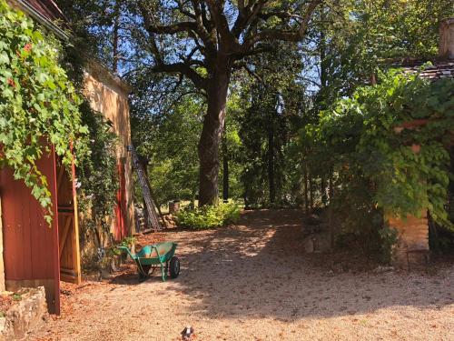 a green chair sitting in a yard next to a tree at Chambres d'hotes Les Coustilles in Saint-Alvère