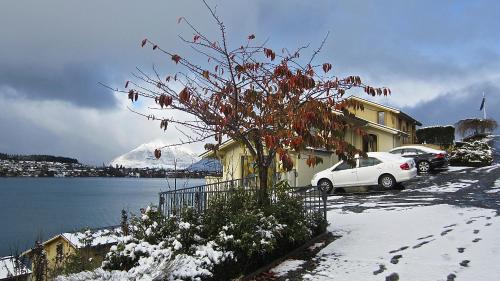 a tree in front of a house in the snow at Villa Del Lago in Queenstown