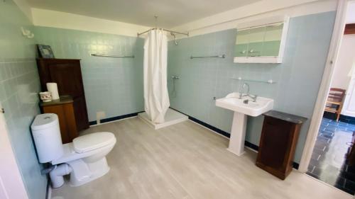 a bathroom with a toilet and a sink at Le Gîte de Saint Phal in Saint-Phal