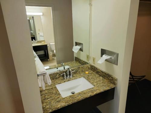 a bathroom with a sink and a large mirror at Penn Wells Lodge in Wellsboro