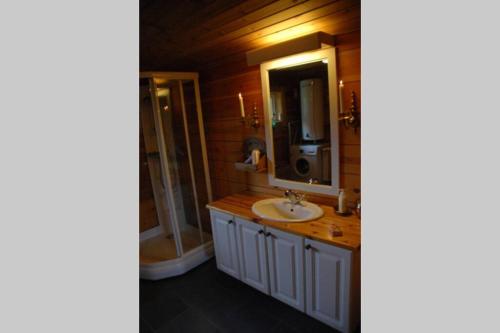 Vonios kambarys apgyvendinimo įstaigoje 100 Years Old Norwegian Log House in Tromsø