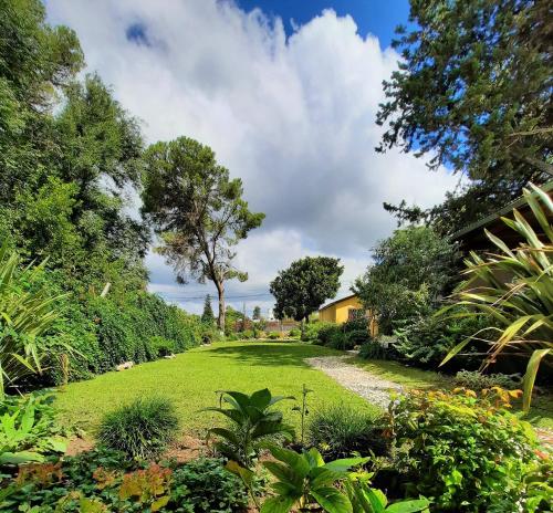 un jardin avec une pelouse, des arbres et une maison dans l'établissement Cabañas el Pinar, à Huerta Grande
