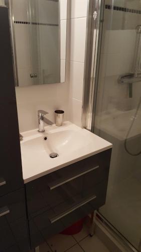 uma casa de banho com um lavatório branco e um chuveiro em Studio 4 personnes em Samoëns