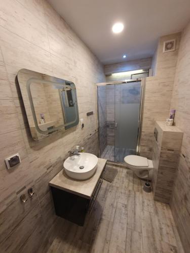 a bathroom with a sink and a toilet and a shower at Apartament Stronie Śląskie FOR REST in Stronie Śląskie