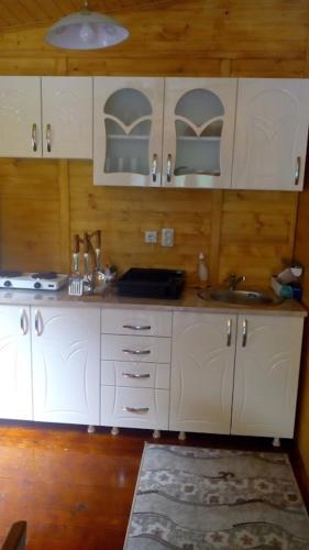 a kitchen with white cabinets and a sink at Etno Avlija Srebrno jezero in Zatonje
