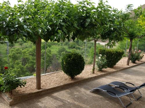 a bench sitting under a tree in a garden at Suite Rural Carenas in Carenas