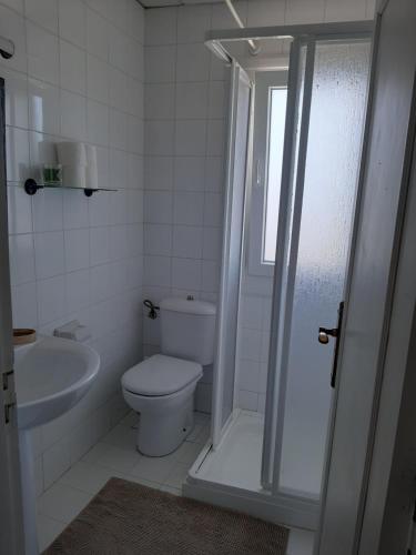 a bathroom with a toilet and a sink and a shower at Villa Pepe, casa compartida in Pontevedra