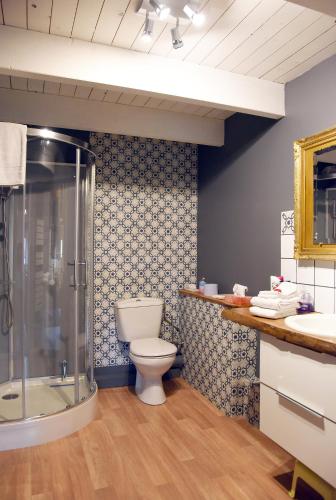 une salle de bain avec toilettes et douche dans l'établissement Au cœur de Fontaine, à Fontaine-Française