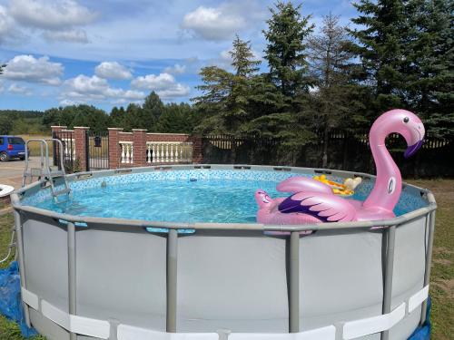 una gran piscina con un flamenco rosa. en Villa Lake&Forest Trójmiasto, en Dobrzewino