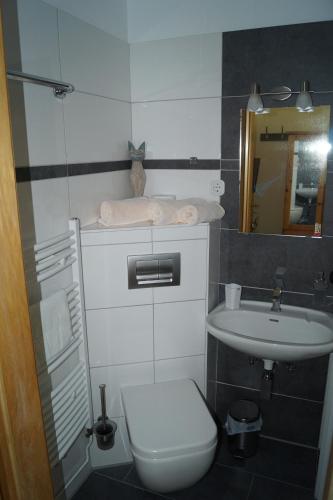 a small bathroom with a toilet and a sink at Forsthaus-Ferienhotel am Dobrock in Wingst