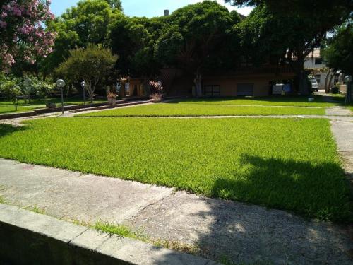 Jardin de l'établissement Seafront