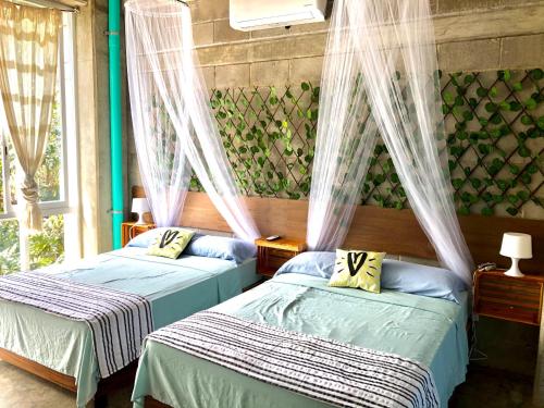 A bed or beds in a room at Hostal Tortuga