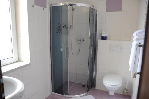 a bathroom with a shower with a toilet and a sink at Hotel Amerika in Havířov