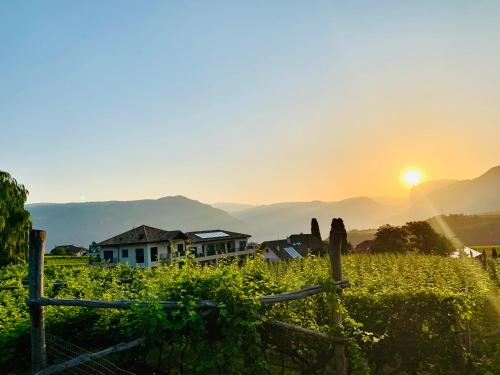 ein Haus in einem Weinberg mit Sonnenuntergang im Hintergrund in der Unterkunft Weingut Gasshof in Appiano sulla Strada del Vino