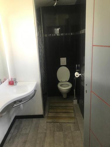 La salle de bains est pourvue de toilettes blanches et d'un lavabo. dans l'établissement Résidence du bord de loire, à Decize