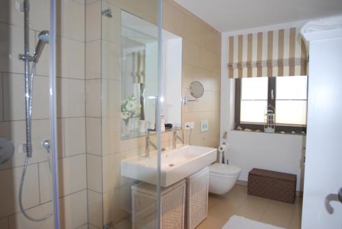 La salle de bains est pourvue d'un lavabo, de toilettes et d'une douche. dans l'établissement Luxuswohnung Abendsonne, à Wenningstedt