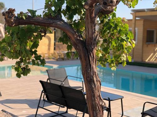a table and chairs next to a tree next to a pool at Le stanze di chiara in Torre Lapillo