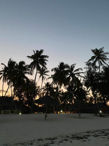 a group of palm trees on a beach at night at Cristal Resort in Paje