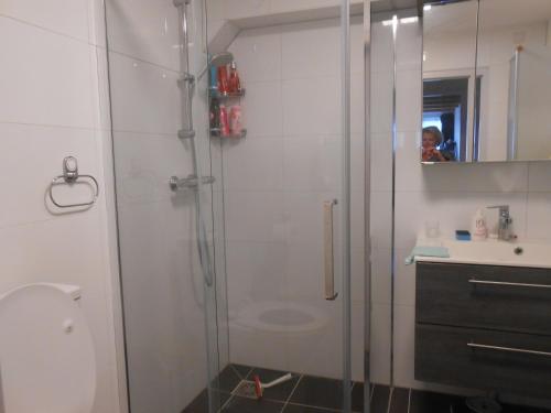 een douche met een glazen deur in de badkamer bij Hetem's Room in Amsterdam