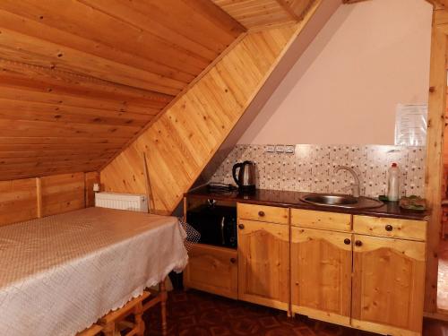 Η κουζίνα ή μικρή κουζίνα στο Zelenyj Gaj