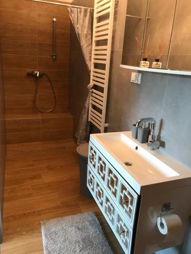 a bathroom with a sink and a shower at Apartament Maria in Gietrzwałd