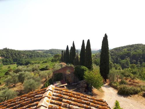 an aerial view of a hill with trees and roofs at Podere Calcinaia in Castelnuovo Berardenga