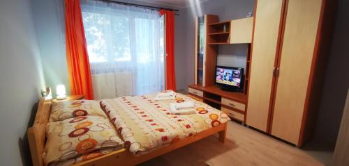 a small bedroom with a bed and a television at Sandra Apartman in Sovata