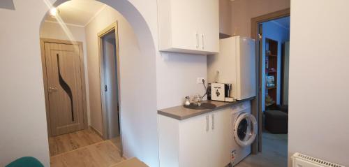 a kitchen with a washer and dryer in a room at Sandra Apartman in Sovata