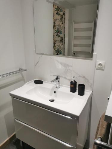 a bathroom with a white sink and a mirror at Au Kaycedra in Calais