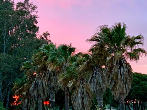 Φωτογραφία από το άλμπουμ του Studio La Maravilla 1001 Nacht, Playa La Barrosa σε Chiclana de la Frontera
